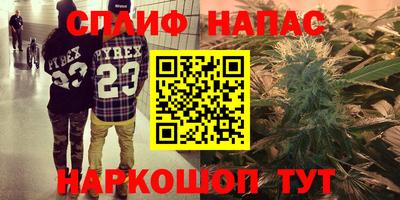 гидра Беслан