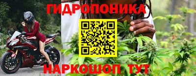 дурь Бийск