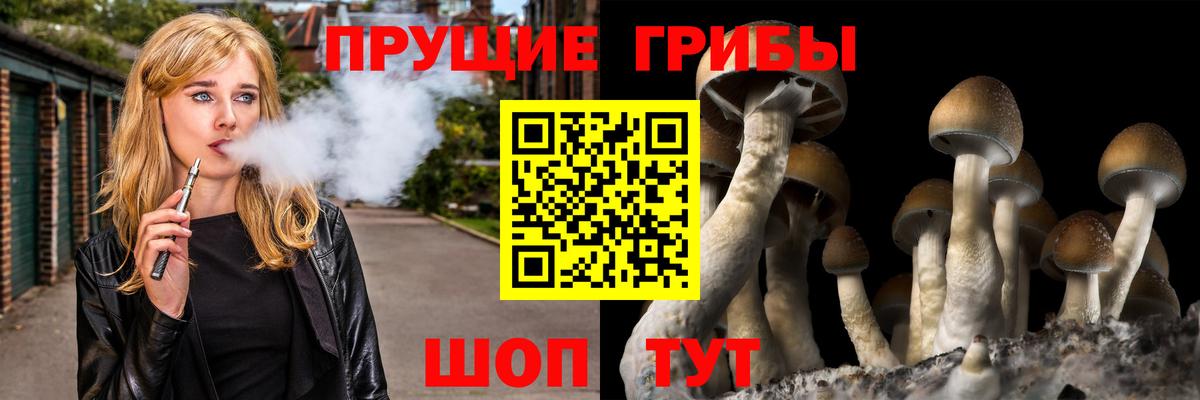 Заводоуковск  Псилоцибиновые грибы MAGIC MUSHROOMS  хочу   Вход с VPN 