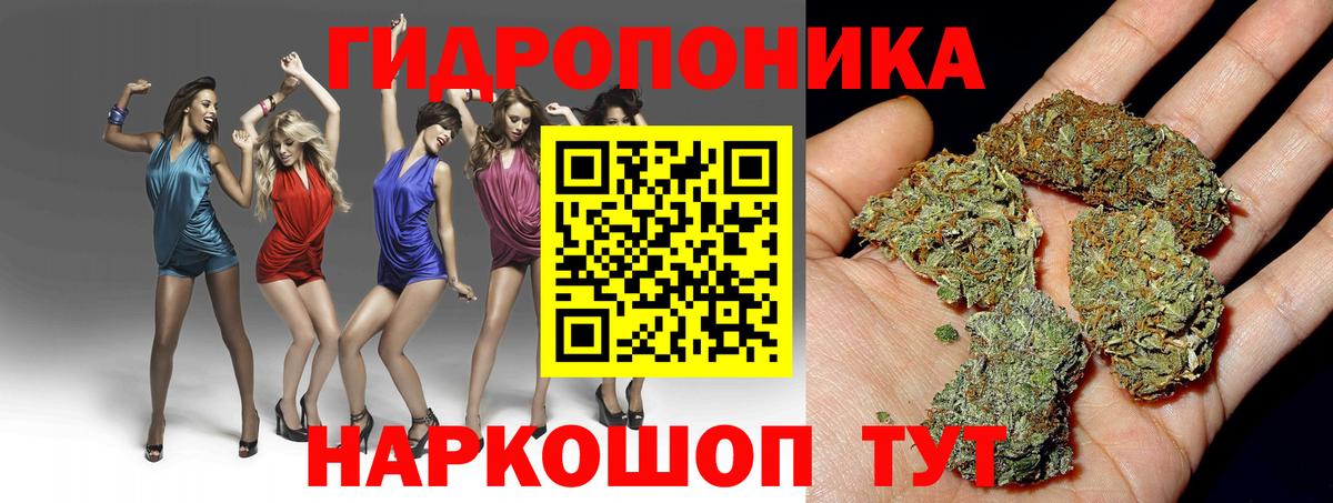 Бошки Шишки VHQ  Каннабис OG Kush  Вход с VPN  Конопля Ganja  Заводоуковск 